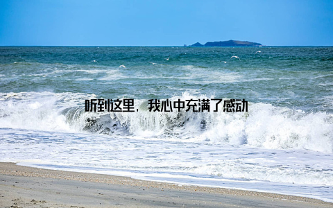 听到这里, 我心中充满了感动