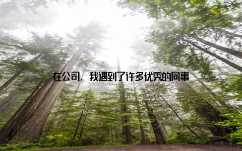 在公司, 我遇到了许多优秀的同事