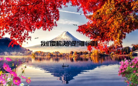 我们要解决的是饲料问题