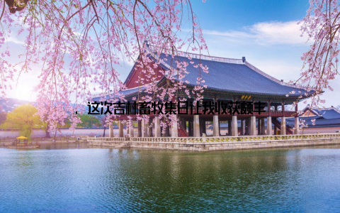 , 这次吉林畜牧集日让我收获颇丰