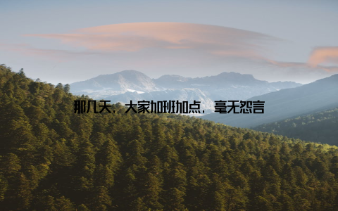 那几天, 大家加班加点, 毫无怨言