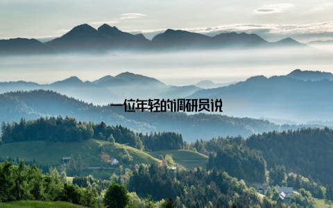 一位年轻的调研员说