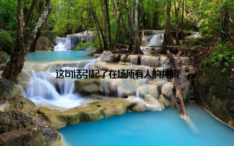 这句话引起了在场所有人的共鸣