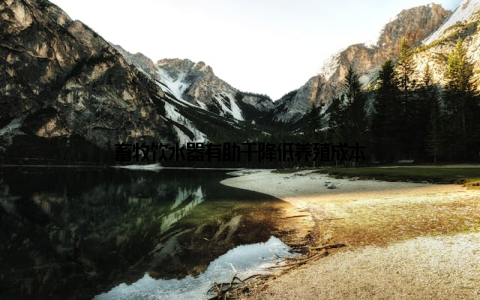 畜牧饮水器有助于降低养殖成本