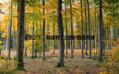 无奈之下, 我请教了当地的兽医专家