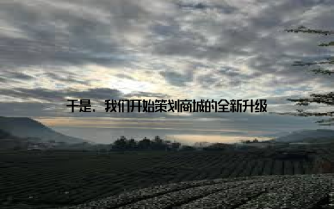 于是, 我们开始策划商城的全新升级