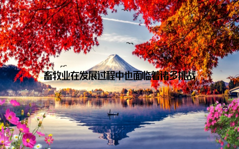 畜牧业在发展过程中也面临着诸多挑战