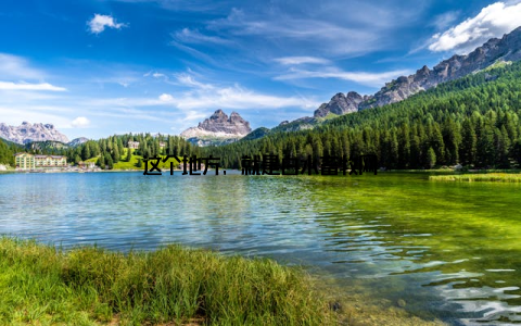 这个地方, 就是白水畜牧网
