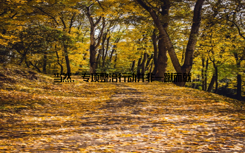 当然, 专项整治行动并非一蹴而就