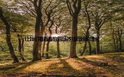 让我们看看畜牧四场养殖规模的增长