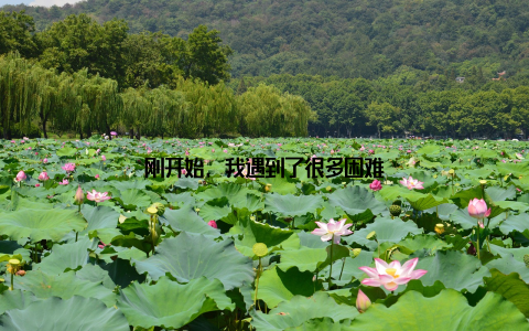 刚开始, 我遇到了很多困难