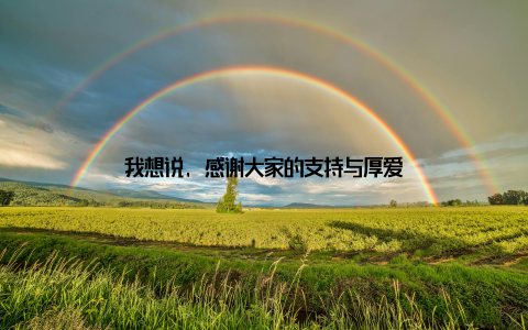 我想说, 感谢大家的支持与厚爱