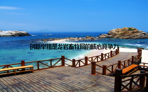 创新举措是龙岩畜牧局的核心竞争力