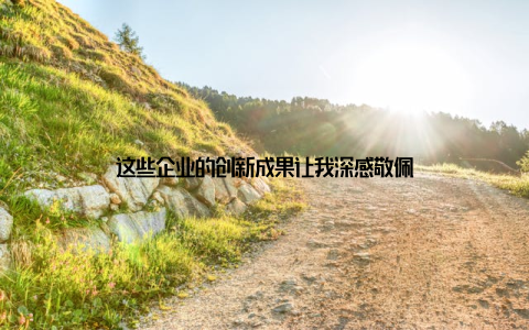 这些企业的创新成果让我深感敬佩