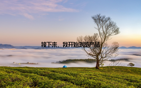 接下来, 我开始浏览产品