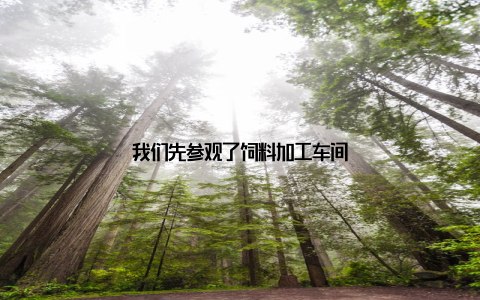 我们先参观了饲料加工车间