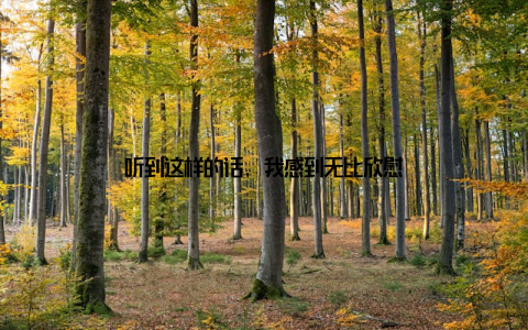 听到这样的话, 我感到无比欣慰