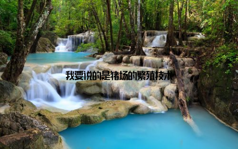 我要说的是猪场的繁殖技术