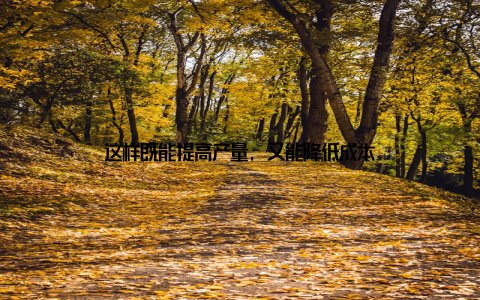 这样既能提高产量, 又能降低成本