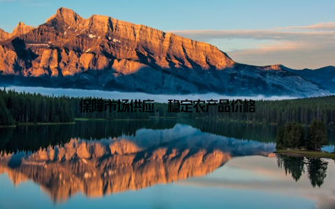 保障市场供应, 稳定农产品价格