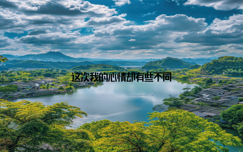 这次我的心情却有些不同