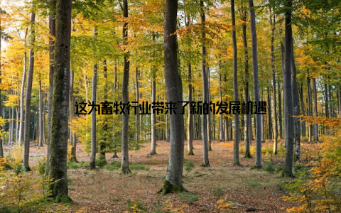 这为畜牧行业带来了新的发展机遇