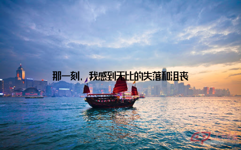 那一刻, 我感到无比的失落和沮丧