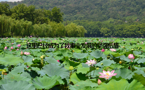 这里已经成为了我事业发展的坚强后盾