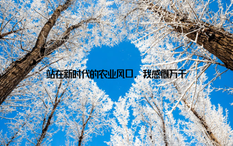 站在新时代的农业风口, 我感慨万千
