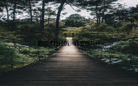 回首这段经历, 我感慨万分