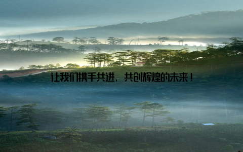 让我们携手共进, 共创辉煌的未来!