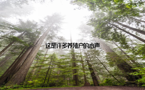 这是许多养殖户的心声