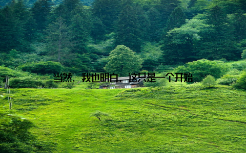 当然, 我也明白, 这只是一个开始