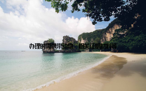 办理时需携带动物、相关证明材料等