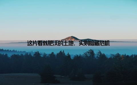 这片看似肥沃的土地, 实则暗藏危机