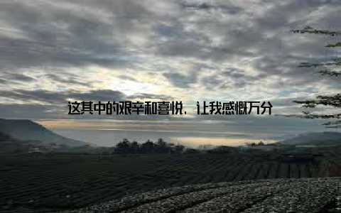 这其中的艰辛和喜悦, 让我感慨万分