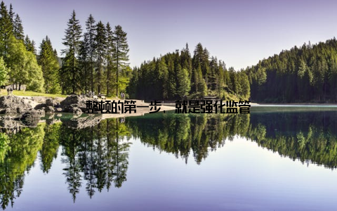 整顿的第一步, 就是强化监管