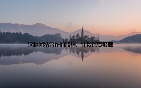 这种团结合作的精神, 让我深受鼓舞