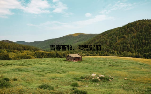 青春畜牧, 梦想起航