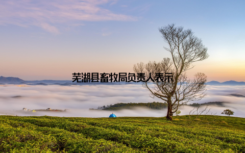 芜湖县畜牧局负责人表示