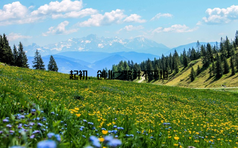 起初, 创业之路并不平坦