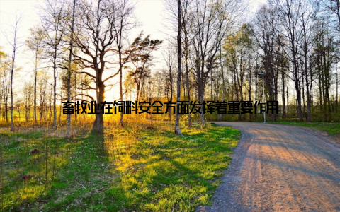 畜牧业在饲料安全方面发挥着重要作用