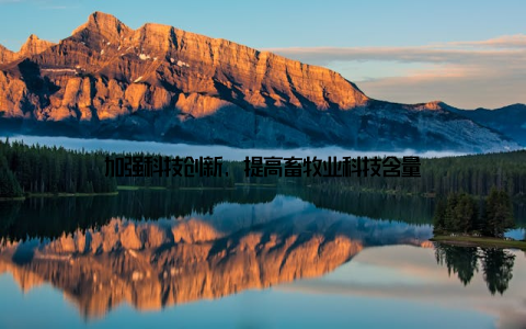 加强科技创新, 提高畜牧业科技含量