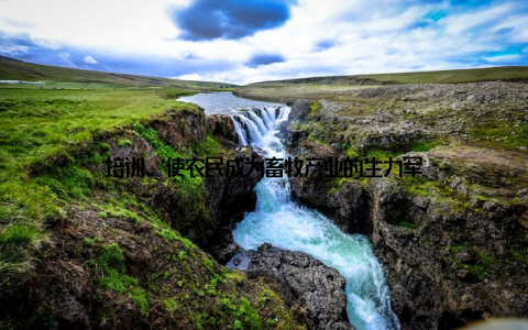 培训, 使农民成为畜牧产业的生力军