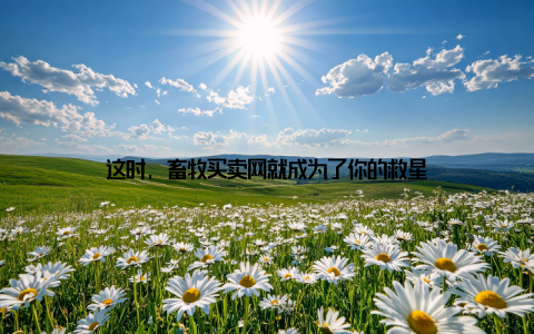 这时, 畜牧买卖网就成为了你的救星