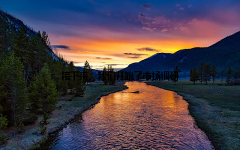 接下来, 我们开始了市场调研