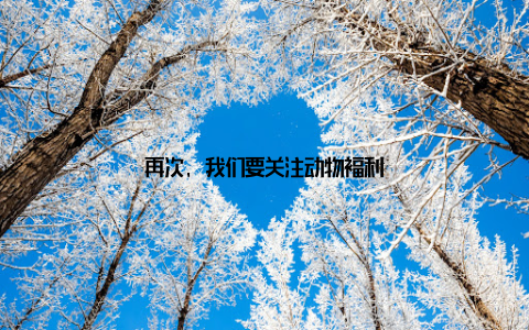 再次, 我们要关注动物福利