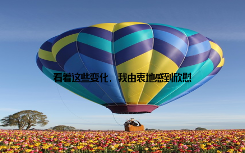 看着这些变化, 我由衷地感到欣慰