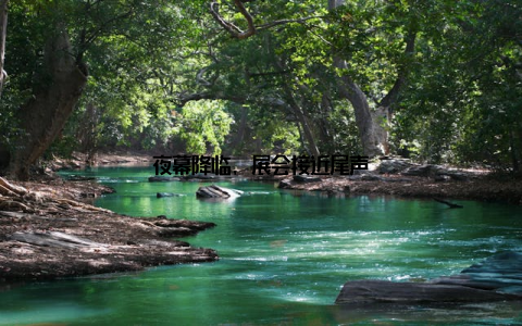 夜幕降临, 展会接近尾声