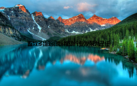 畜牧多维始终以推动行业发展为己任